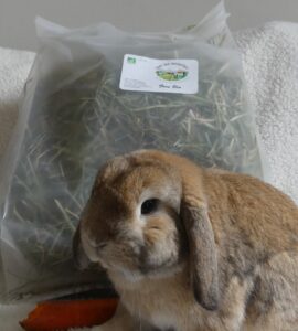 Foin bio 1 kg - Excellence fermière et goût authentique.