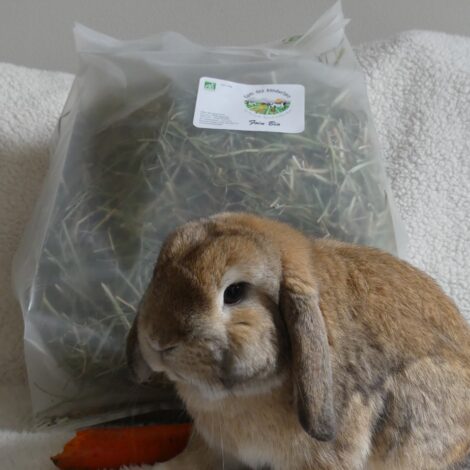 Foin bio 1 kg - Excellence fermière et goût authentique.