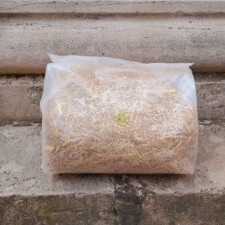 Paille finement coupée - le Top pour vos clapiers et poulaillers.