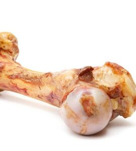 Os de fémur de Veau de Lait bio.